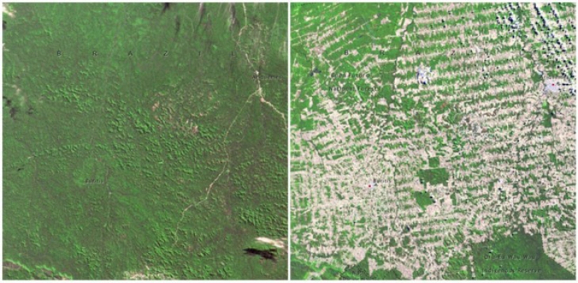 Global Climate Change in NASA Photos: Before and After