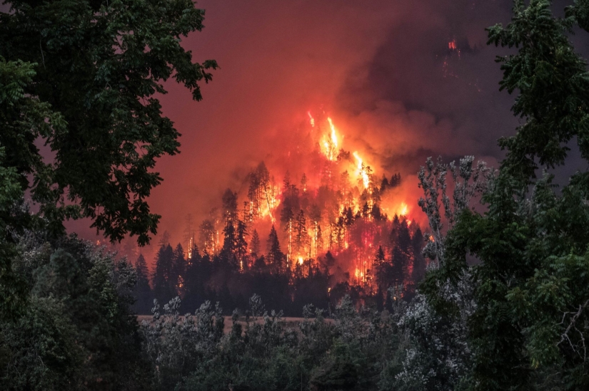 Golf durante la plaga: jugadores en el fondo de un incendio forestal en los Estados Unidos