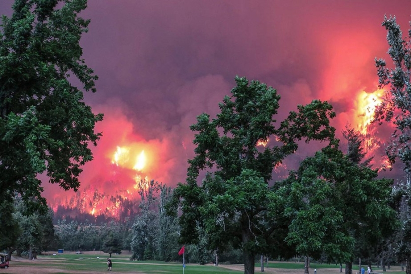 Golf during the plague: players on the background of a forest fire in the USA