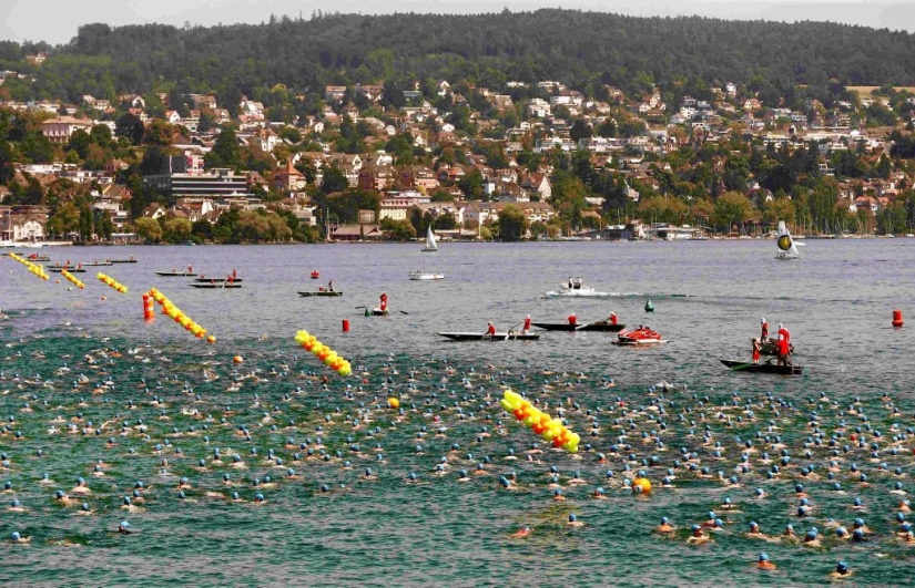 Gorros azules de natación masiva en el lago de Zúrich