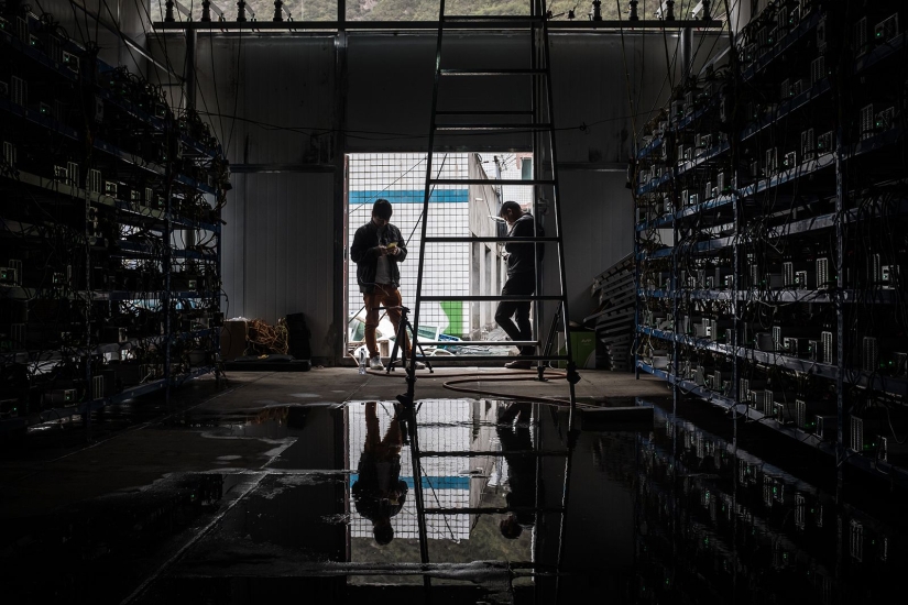 Granja triste: minería de Bitcoin a escala china