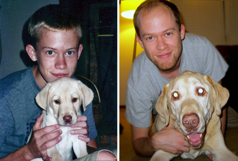Grown up together: Dogs and their owners at the beginning of friendship and after many years
