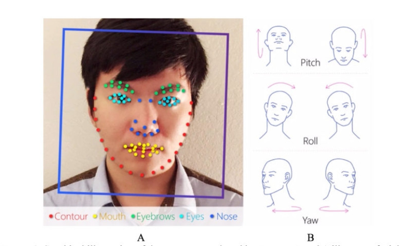 Gustos-disgustos: científicos han creado un algoritmo que identifica a las personas homosexuales por foto