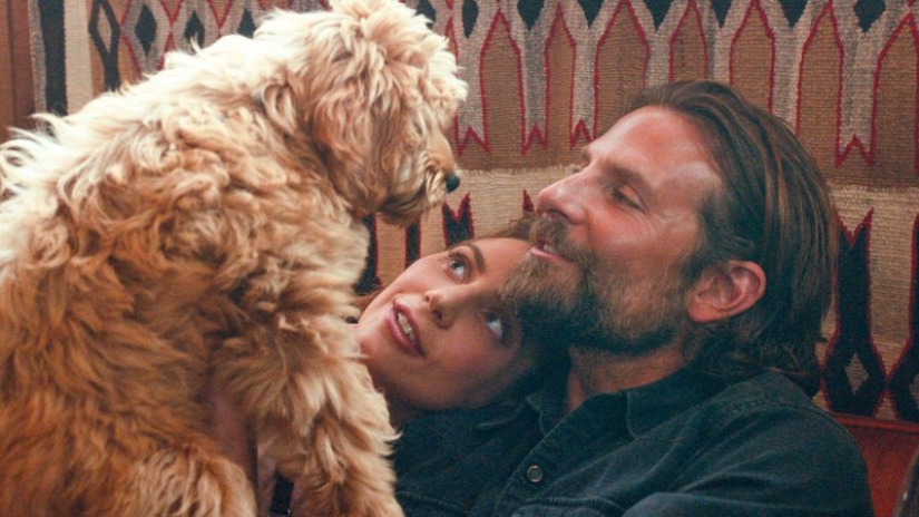 "Ha nacido una estrella": 10 datos sobre la película que marcó el comienzo del amor de Bradley Cooper y Lady Gaga