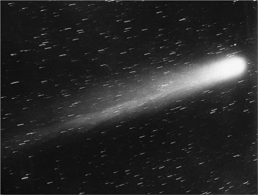 Halley's Comet and the failed Apocalypse of 1910
