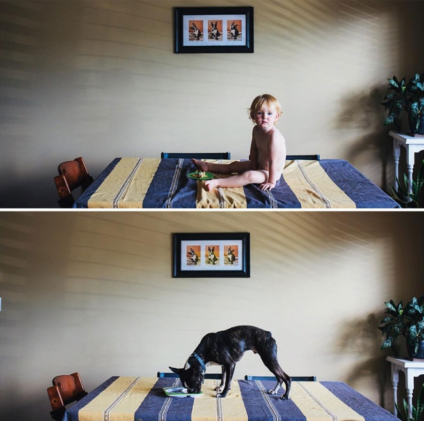 Happy together — a photo story about the growing up of a girl and a puppy