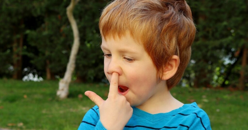 He picked his nose — he remained a fool: an unpleasant habit can lead to dementia