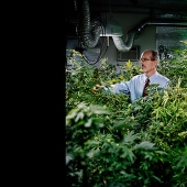 "Herbal business" in Colorado: an inside look