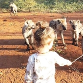 How a 2-year-old baby made friends with wild hyenas