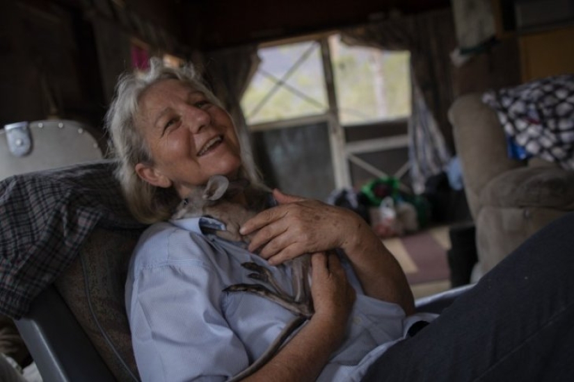 How a couple from Australia take care of 60 kangaroos and sew handbags for kangaroos