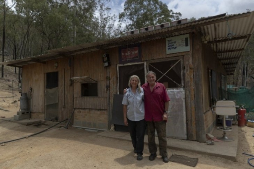 How a couple from Australia take care of 60 kangaroos and sew handbags for kangaroos