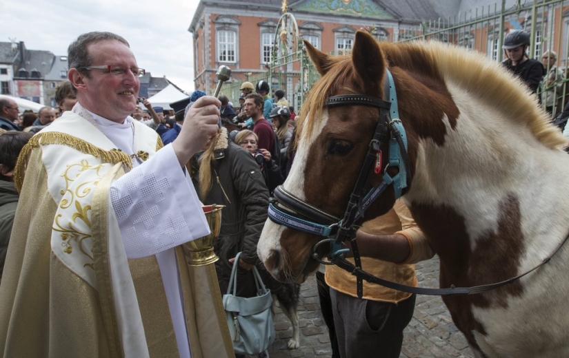 How animals are blessed in Belgium