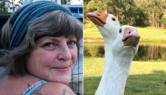 How Buying Geese Can Turn Life into a Real Hell