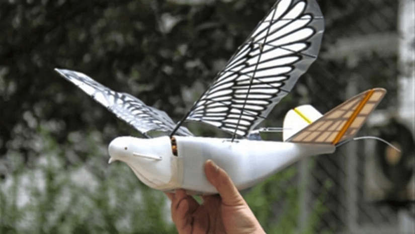 How Chinese drones disguised as pigeons work