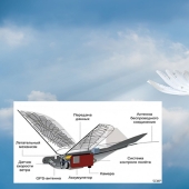 How Chinese drones disguised as pigeons work