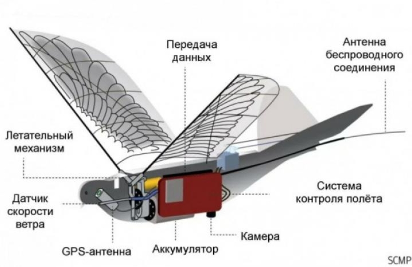 How Chinese drones disguised as pigeons work