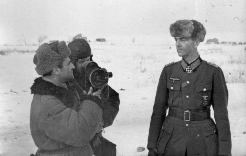 How mice helped defeat the Red Army of the Germans in the battles for Stalingrad