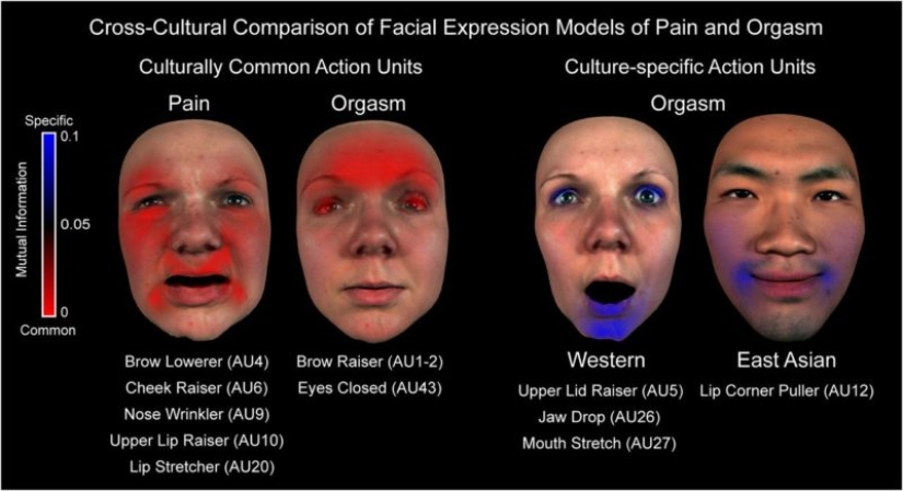 How orgasm looks on the faces of different people: you will be surprised to notice the difference