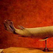 How the cult of mermaids "ningyo" appeared in Japan and why their mummies are so valued