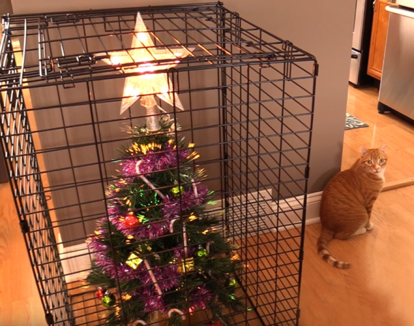 How to protect a Christmas tree from harmful and audacious pets