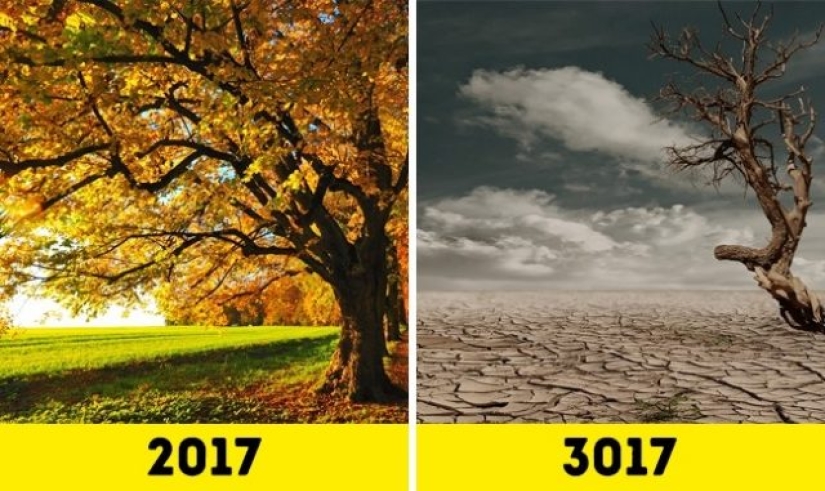 How will Earth look like in 1000 years?