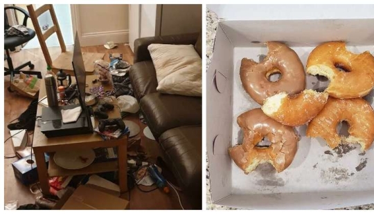 "I live with a monster!" 35 photos of complete chaos from the kings of the mess