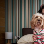 "I love Lola more than my son": a British woman bought 68 gifts for a thousand pounds for a dog