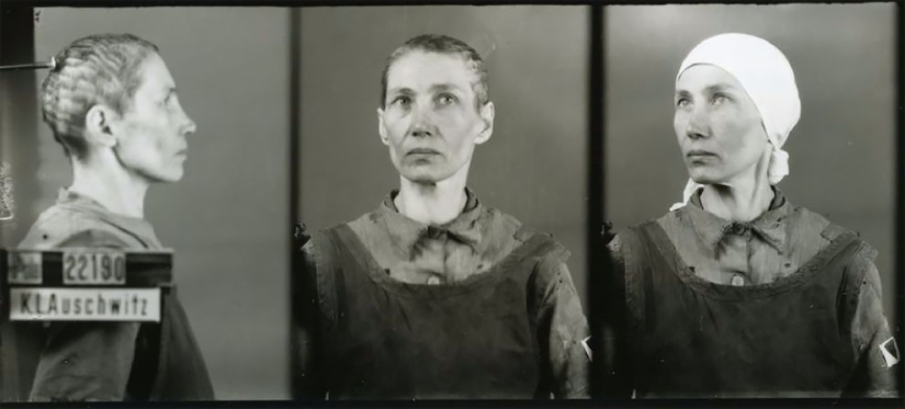 "I tried to calm them down": portraits of Auschwitz prisoners by Polish photographer Wilhelm Brass
