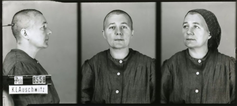 "I tried to calm them down": portraits of Auschwitz prisoners by Polish photographer Wilhelm Brass