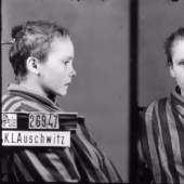 "I tried to calm them down": portraits of Auschwitz prisoners by Polish photographer Wilhelm Brass