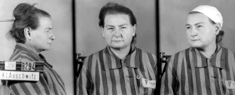 "I tried to calm them down": portraits of Auschwitz prisoners by Polish photographer Wilhelm Brass