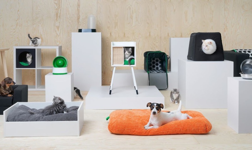 IKEA ha lanzado una colección de muebles para mascotas