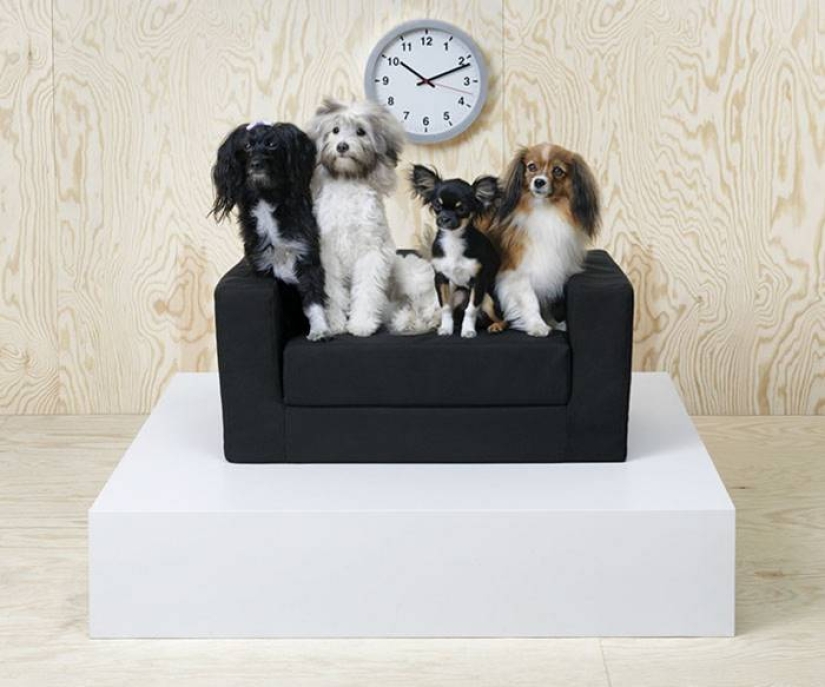 IKEA ha lanzado una colección de muebles para mascotas