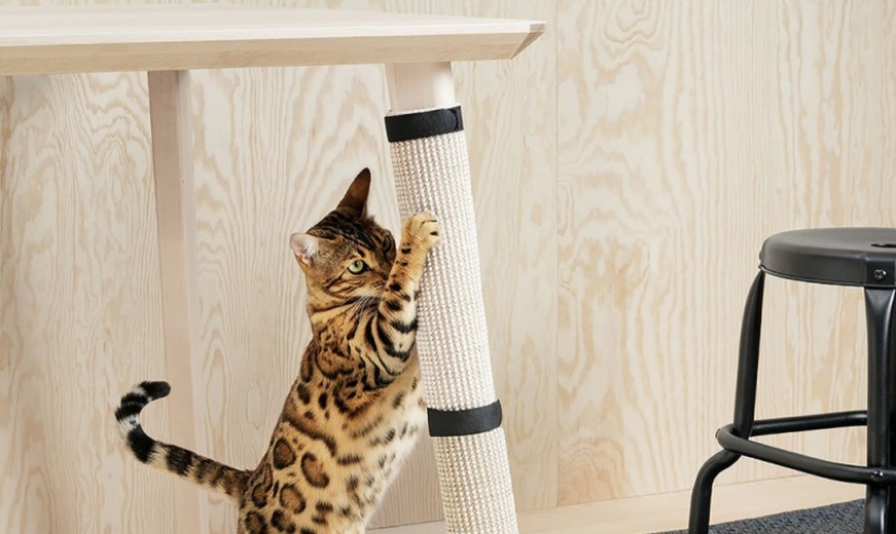 IKEA has released a collection of furniture for pets