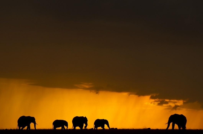 Impresionantes puestas de sol africanas por Paul Goldstein