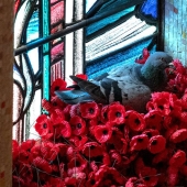 In Australia, a vandal stole flowers from the grave of an unknown soldier…