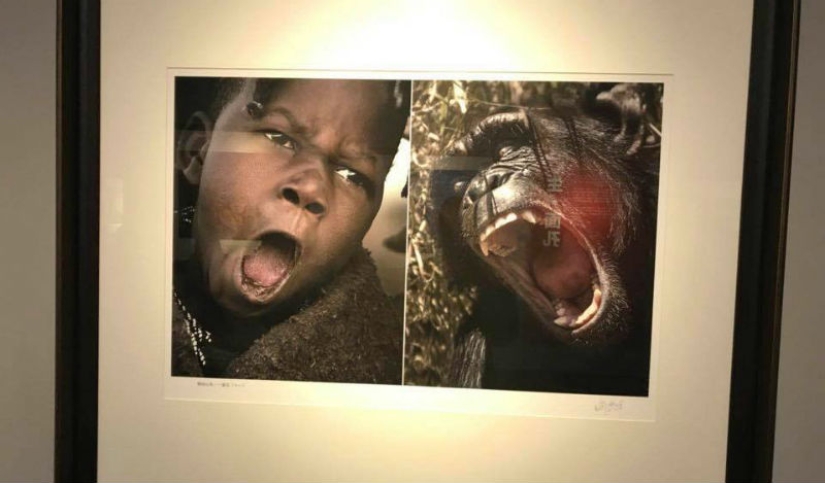 In China, a photo exhibition was closed, where Africans were compared to wild animals