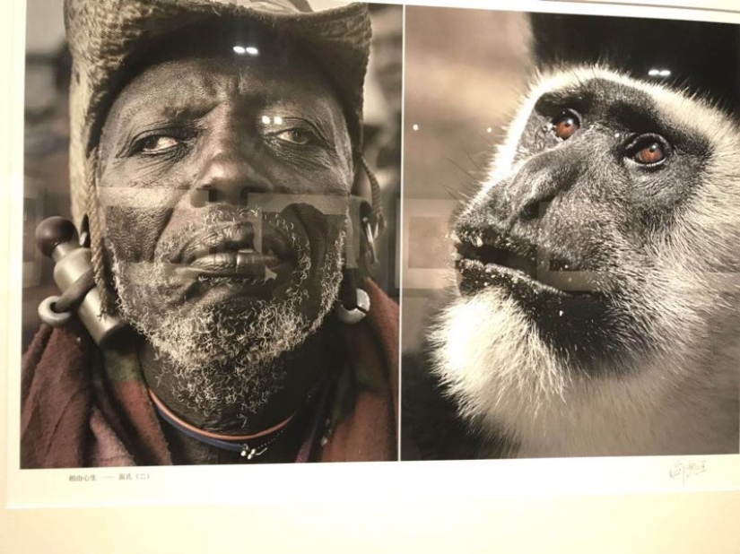 In China, a photo exhibition was closed, where Africans were compared to wild animals