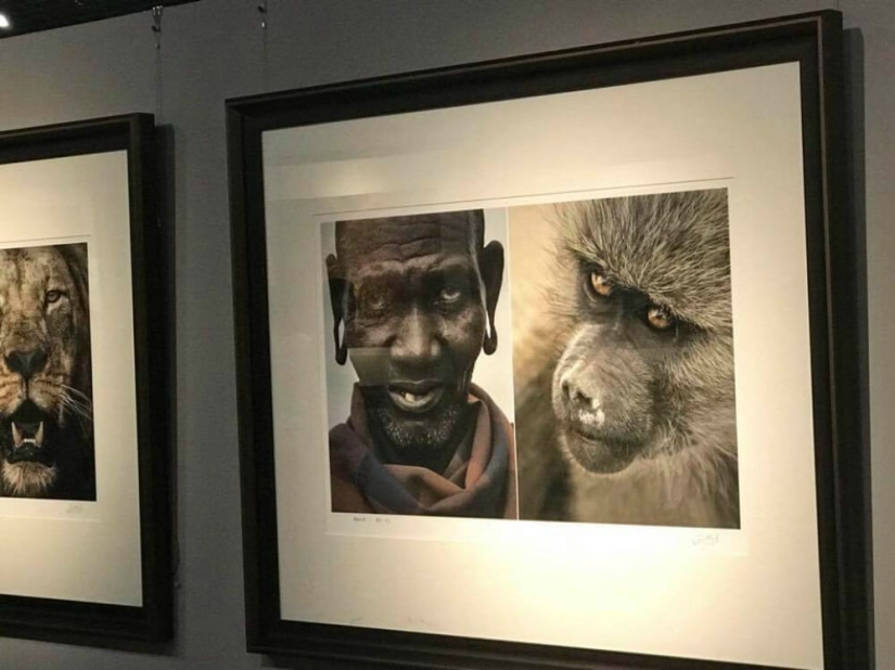 In China, a photo exhibition was closed, where Africans were compared to wild animals
