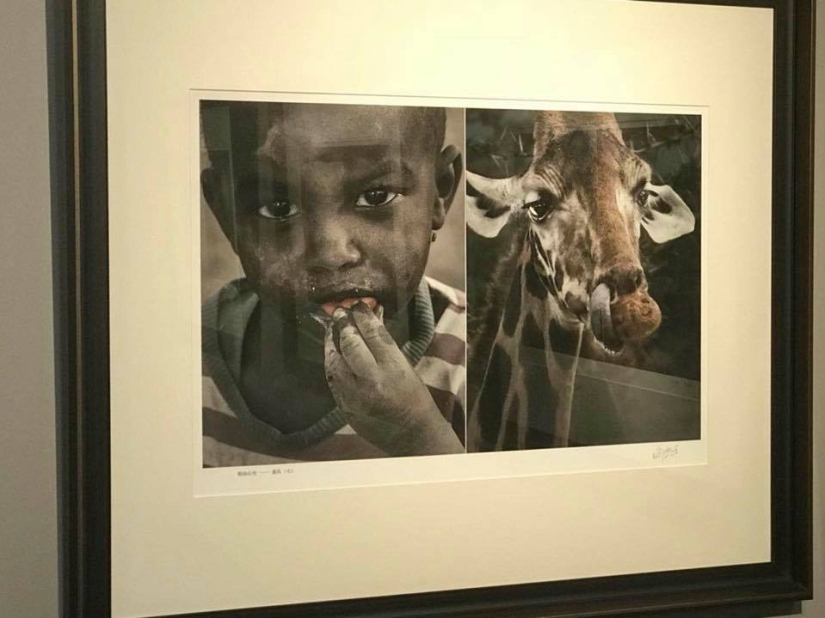 In China, a photo exhibition was closed, where Africans were compared to wild animals