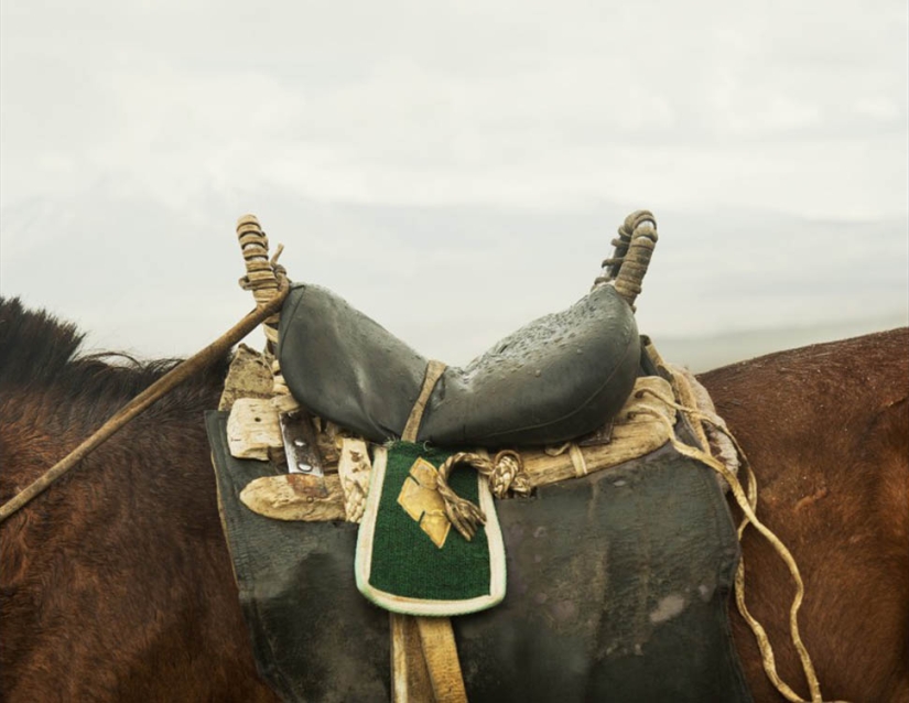 In faraway Mongolia without an interpreter