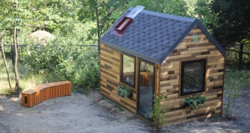 In Georgia, they will start selling tiny cottages of quick assembly for 115 thousand rubles