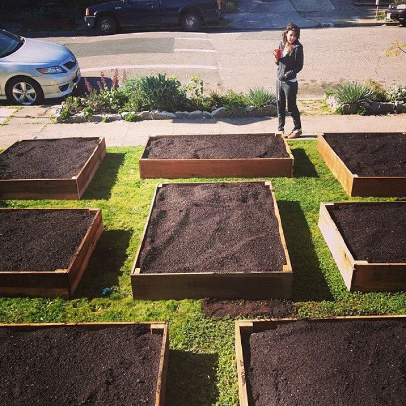 In just 60 days, this guy has grown a cool garden in front of the house