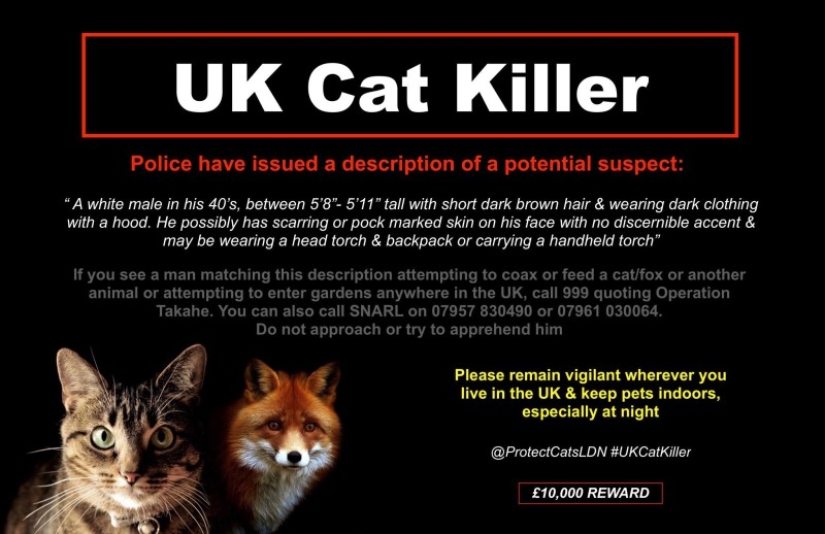 In London, they are looking for a maniac who killed more than 360 animals in 2 years