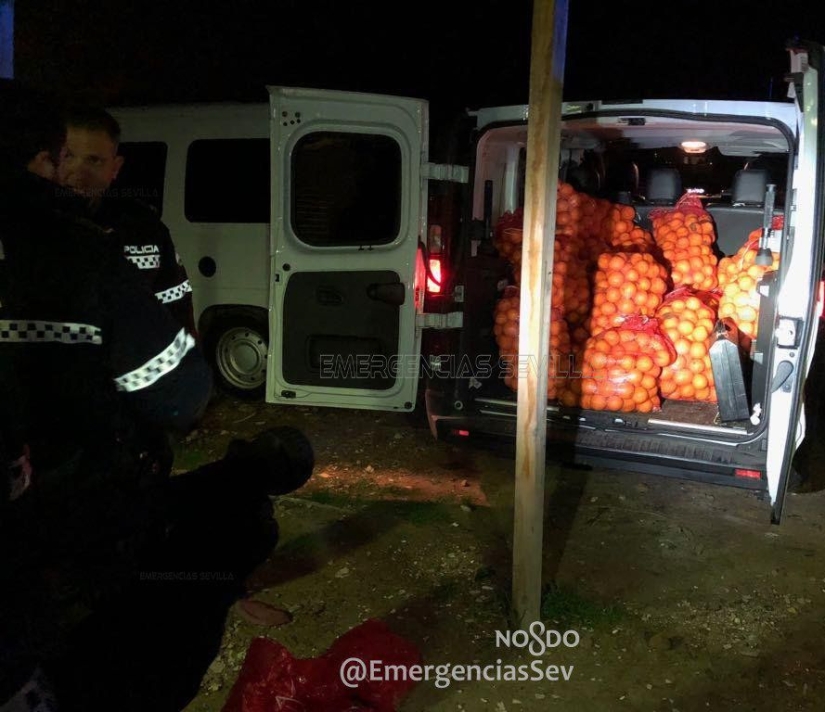 In Spain, a family was arrested for stealing four tons of oranges