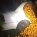 In Spain, a family was arrested for stealing four tons of oranges
