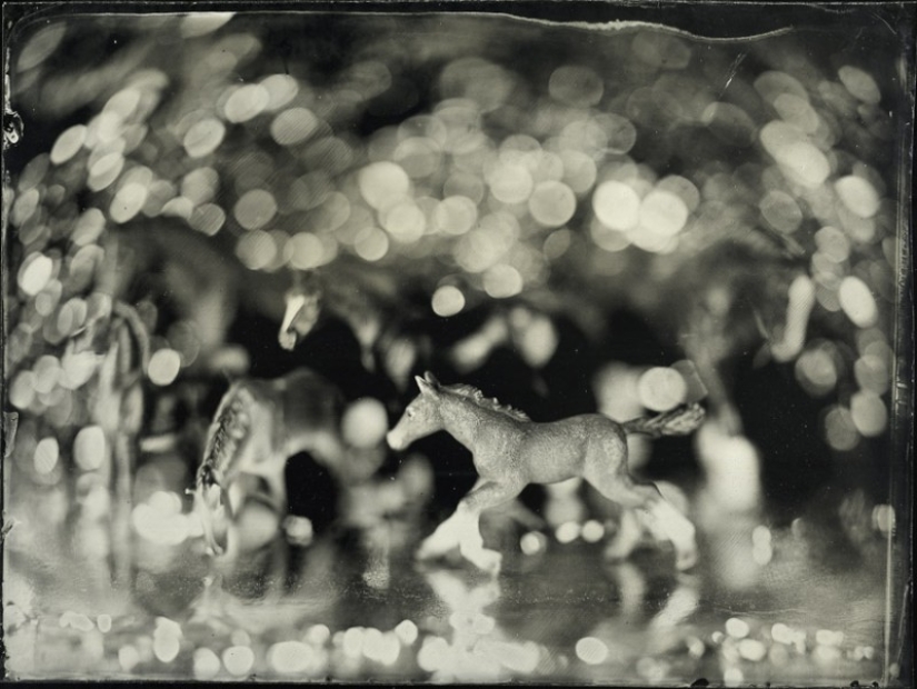 In the fabulous world of ambrotypes