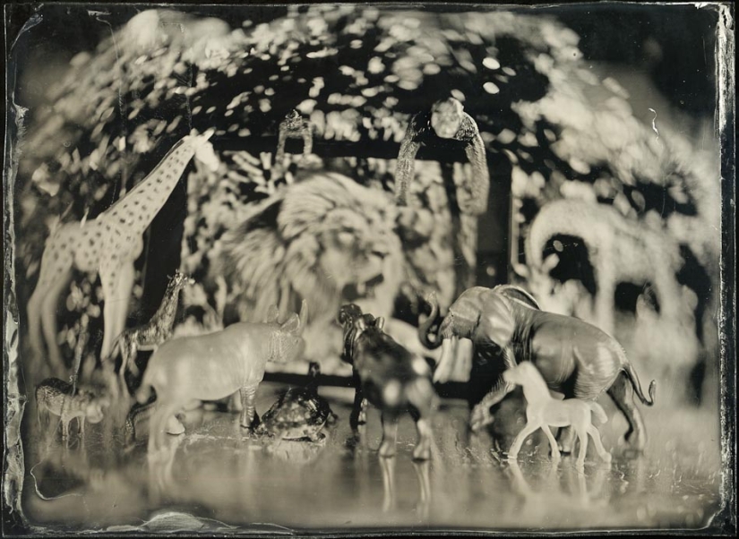 In the fabulous world of ambrotypes