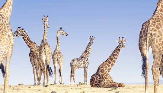 In the lens of nature: stunning images from the 2018 National Geographic Travel Photographer Contest In the lens of nature: stunning images from the 2018 National Geographic Travel Photographer Contest