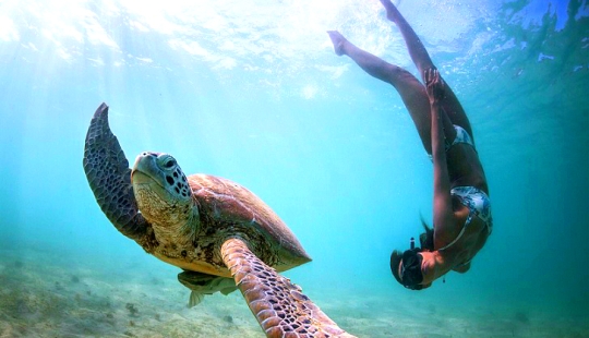 Increíble apnea en la naturaleza